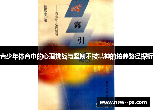 青少年体育中的心理挑战与坚韧不拔精神的培养路径探析